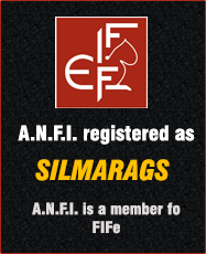 A.N.F.I. registered as Silmarags
